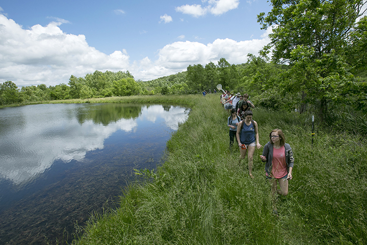 Students collect water and soil samples at the Bohigian Conservation Area during a summer biological science course